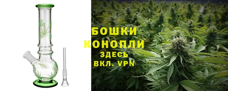 Шишки марихуана THC 21%  Ахтубинск 